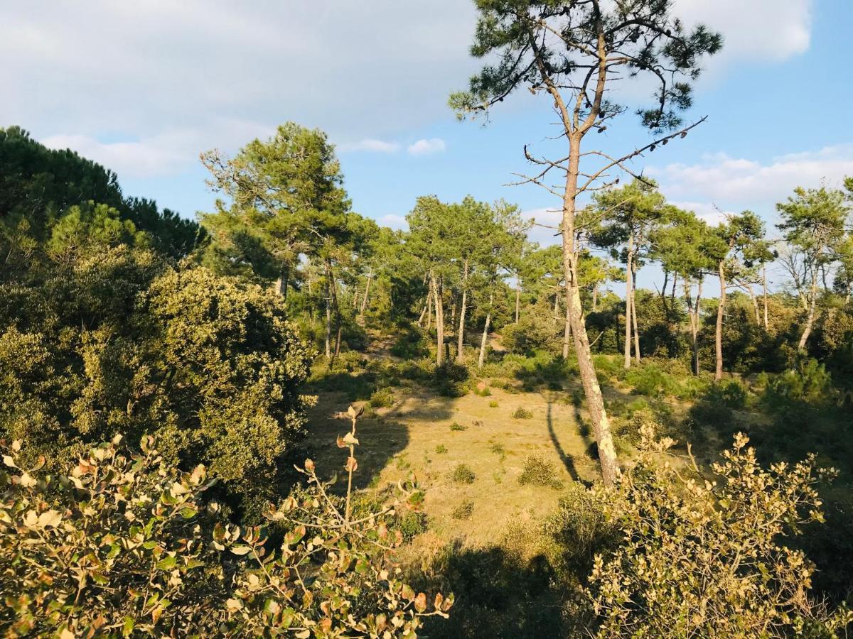 Le Miramar, Face Mer Et Standing Saint-Jean-de-Monts Exterior foto